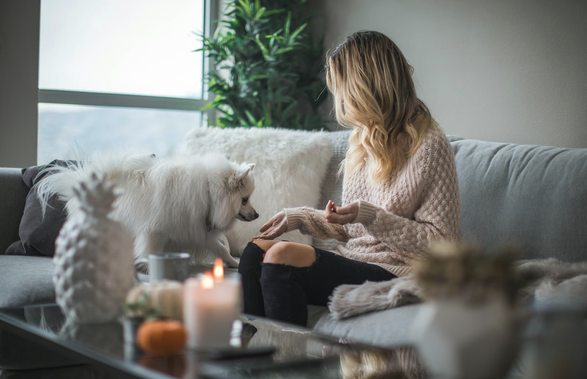 There’s a Lien on Your Home—And Your Partner Didn’t Tell You