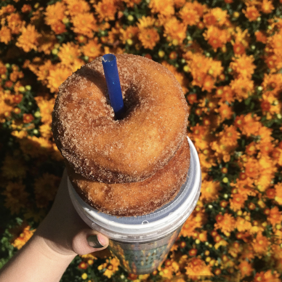 It Wasn’t Fall’s Fault